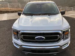 Weiß Gebraucht 2021 Ford F-150 Abholung | 43.900 € (Fairer Preis)