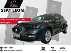 Grau Neu 2025 Seat Leon Limousine | 33.790 € (Etwas zu teuer)