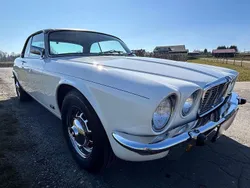 Weiß Gebraucht 1975 Jaguar XJ6 Limousine | 26.900 €