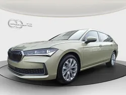 Gelb Neu 2025 Skoda Superb Selection Kombi | 44.688 € (Etwas zu teuer)
