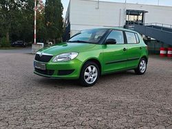 Grün Gebraucht 2014 Skoda Fabia Kleinwagen | 3.999 € (Guter Preis)