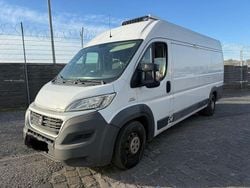 Bianco Gebraucht 2016 Fiat Ducato Van | 9.900 € (Superpreis)
