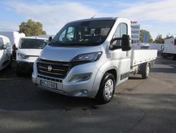 Grau (alluminio grau (grau)) Gebraucht 2022 Fiat Ducato Van | 55.014 €