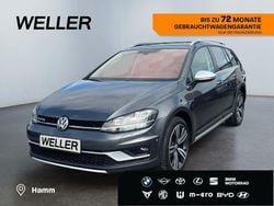 Grau Gebraucht 2019 VW Golf Alltrack Kombi | 20.580 € (Etwas zu teuer)