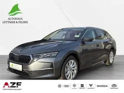 Grau Neu 2025 Skoda Octavia Selection Kombi | 29.990 € (Guter Preis)