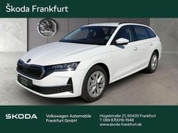 Weiß Gebraucht 2025 Skoda Octavia Selection Kombi | 28.980 € (Guter Preis)