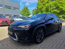 Graphite black Gebraucht 2020 Lexus UX 250h SUV | 25.490 € (Fairer Preis)