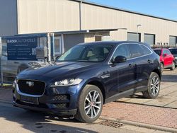 Blau Gebraucht 2019 Jaguar F-Pace Pure SUV | 20.000 € (Superpreis)