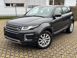 Grau Gebraucht 2017 Land Rover Range Rover evoque Pure SUV | 8.500 € (Guter Preis)