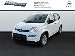 Gelato weiß Neu 2024 Fiat Panda Kleinwagen | 16.930 €