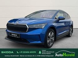 Race blue Gebraucht 2021 Skoda Enyaq iV ecoSuite SUV | 29.990 € (Guter Preis)