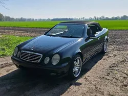Schwarz Gebraucht 2003 Mercedes CLK230 Cabrio | 3.000 € (Superpreis)