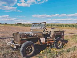 Grün Gebraucht 1958 Jeep Willys SUV | 36.500 €