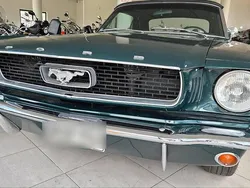 Grün Gebraucht 1966 Ford Mustang Cabrio | 30.000 €