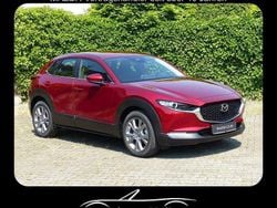 Soul red crystal m Neu 2025 Mazda CX-30 Exclusive-Line SUV | 33.350 €
