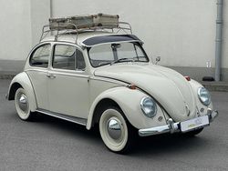 Weiß Gebraucht 1965 VW Käfer Kleinwagen | 27.500 €