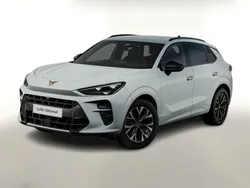 Weiss Neu 2025 Cupra Terramar SUV | 37.765 € (Fairer Preis)