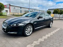 Braun Gebraucht 2014 Jaguar XF Limousine | 12.300 € (Fairer Preis)