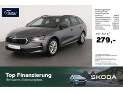 Grau Gebraucht 2024 Skoda Octavia Selection Kombi | 30.940 € (Fairer Preis)