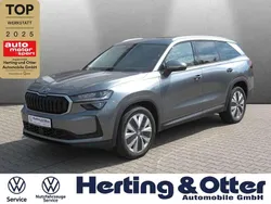 Grau Gebraucht 2024 Skoda Kodiaq Selection SUV | 45.900 € (Guter Preis)