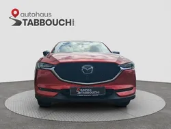 Rot Gebraucht 2019 Mazda CX-5 Sports-Line SUV | 24.999 € (Etwas zu teuer)