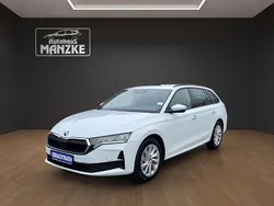 Moonweiss metallic Neu 2025 Skoda Octavia Selection Kombi | 34.700 € (Guter Preis)