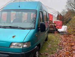 Grün Gebraucht 2000 Fiat Ducato Van | 4.250 €