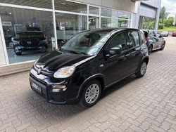 Schwarz Gebraucht 2024 Fiat Panda Kleinwagen | 15.990 € (Fairer Preis)