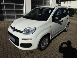 Weiß Neu 2025 Fiat Panda Kleinwagen | 14.990 € (Fairer Preis)