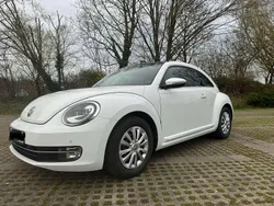 Weiß Gebraucht 2015 VW Beetle Design Kleinwagen | 11.350 € (Superpreis)
