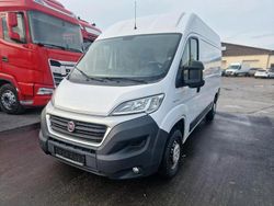 Weiß Gebraucht 2019 Fiat Ducato Van | 8.499 € (Superpreis)