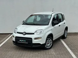 Weiß Neu 2024 Fiat Panda Kleinwagen | 13.750 €