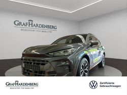 Grau Gebraucht 2025 Cupra Terramar SUV | 33.444 € (Fairer Preis)