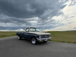 Grau Gebraucht 1981 Chevrolet C10 SUV | 22.500 €