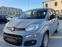 Colore esterno (************** Gebraucht 2021 Fiat Panda Kleinwagen | 9.900 € (Fairer Preis)