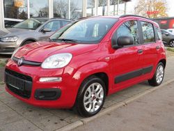 Rot Gebraucht 2014 Fiat Panda Kleinwagen | 9.999 € (Etwas zu teuer)