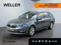 Grau Gebraucht 2019 Skoda Octavia Ambition Kombi | 18.480 € (Guter Preis)
