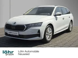 Moonweiss metallic Gebraucht 2024 Skoda Octavia Selection Kombi | 28.680 € (Guter Preis)