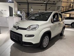 Weiss) (weiss Gebraucht 2024 Fiat Panda Kleinwagen | 14.490 € (Fairer Preis)