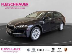 Schwarz Gebraucht 2024 Skoda Octavia Selection Kombi | 33.590 € (Fairer Preis)