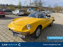Gelb Gebraucht 1980 Alfa Romeo Spider Veloce Cabrio | 19.950 €