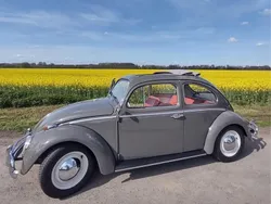 Grau Gebraucht 1963 VW Käfer Limousine | 23.900 €