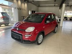 Weiß Gebraucht 2024 Fiat Panda Kleinwagen | 14.300 € (Fairer Preis)