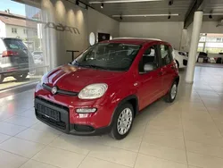 Weiß Gebraucht 2024 Fiat Panda Kleinwagen | 14.950 € (Fairer Preis)