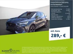 Grau Gebraucht 2023 Cupra Formentor SUV | 27.980 € (Fairer Preis)