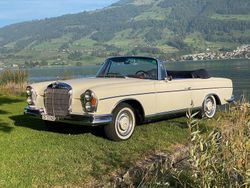 Weiß Gebraucht 1967 Mercedes 250 SE Cabrio | 98.000 €