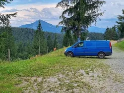 Blau Gebraucht 2010 Mercedes Vito Van / Kleinbus | 8.490 € (Etwas zu teuer)