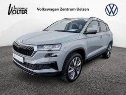Stahlgrau Gebraucht 2023 Skoda Karoq Style SUV | 30.870 € (Teuer)