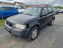 Schwarz Gebraucht 2003 Ford Maverick SUV | 2.300 € (Fairer Preis)