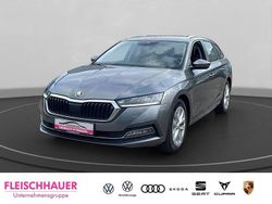 Grau Gebraucht 2023 Skoda Octavia Style Kombi | 23.690 € (Fairer Preis)